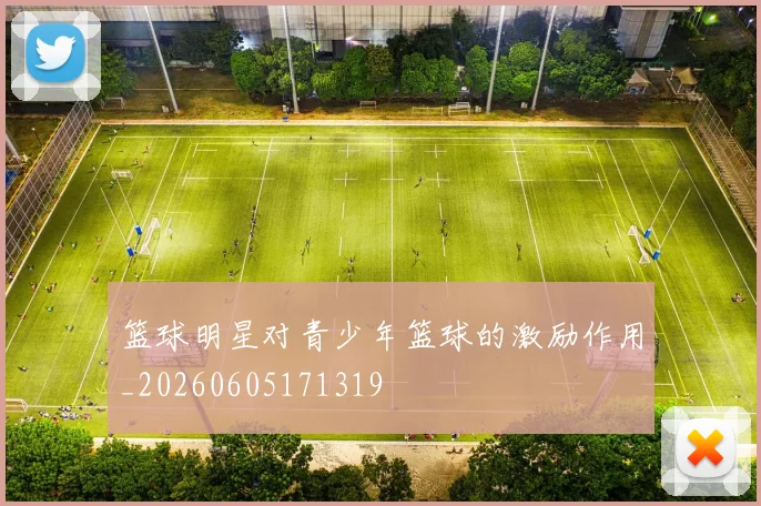 篮球明星对青少年篮球的激励作用_20260605171319